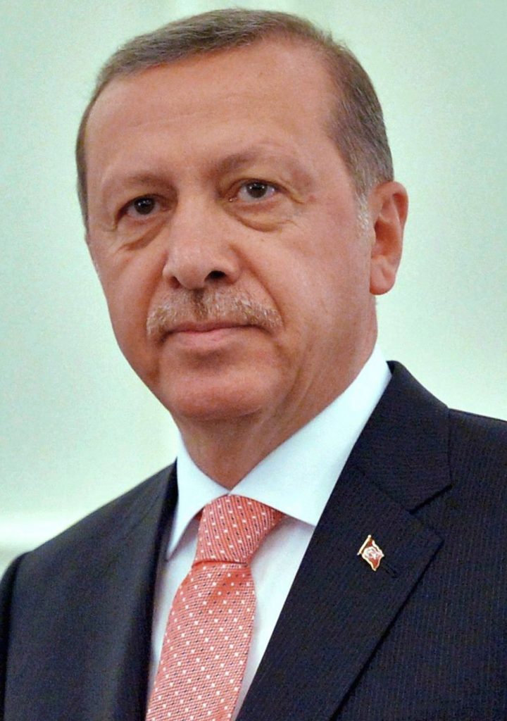 Turecký prezident nedokáže přijmout kritiku, ani tu konstruktivní, tvrdí novinář Emre Kızılkaya