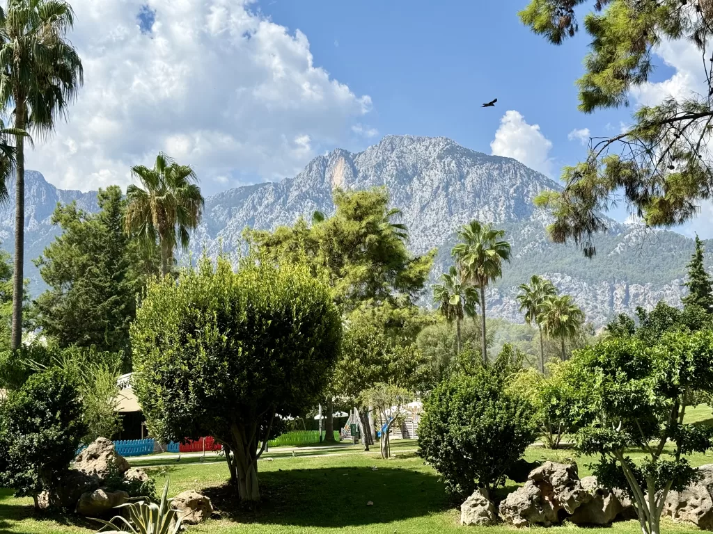 Hory, stromy, tráva