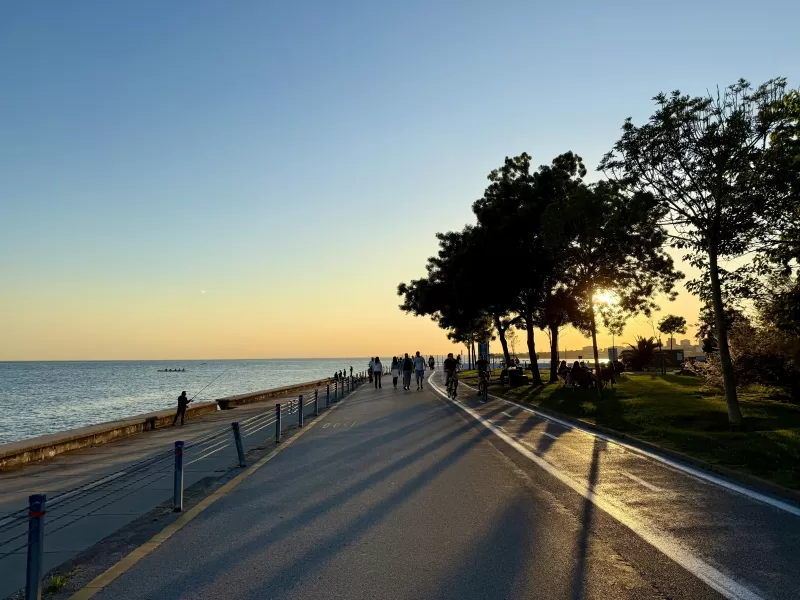 promenáda podél moře, stromy, obloha, západ slunce