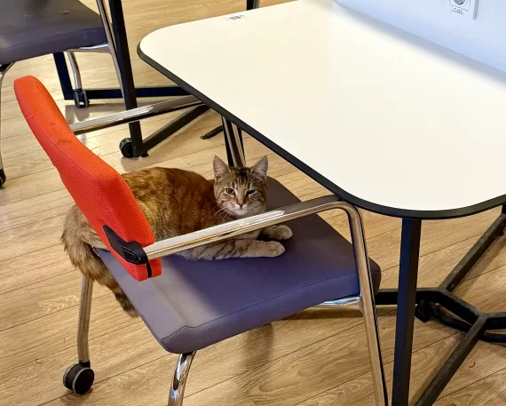 Dopis z Ankary: Jak vypadá work-life balance v Turecku?